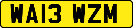 WA13WZM