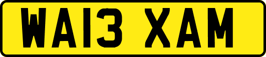 WA13XAM