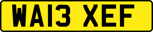 WA13XEF