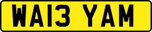 WA13YAM