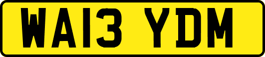WA13YDM