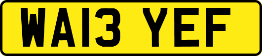 WA13YEF