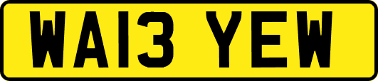 WA13YEW