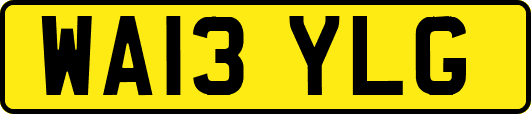 WA13YLG