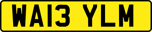 WA13YLM