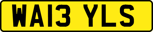 WA13YLS