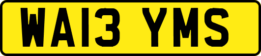 WA13YMS
