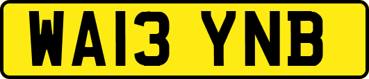 WA13YNB