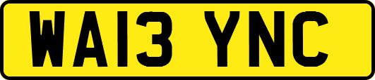 WA13YNC