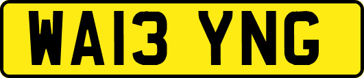 WA13YNG