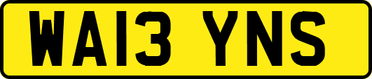 WA13YNS