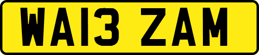WA13ZAM