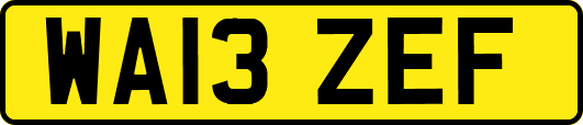 WA13ZEF