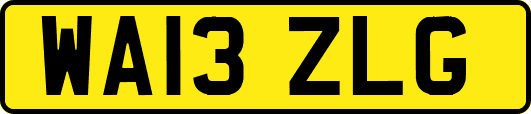 WA13ZLG
