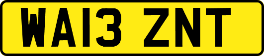 WA13ZNT