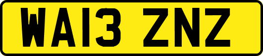 WA13ZNZ