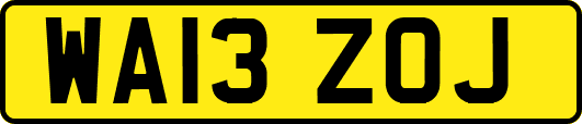 WA13ZOJ