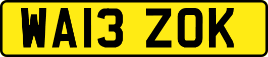 WA13ZOK