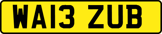 WA13ZUB