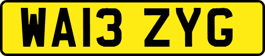 WA13ZYG