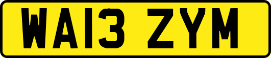 WA13ZYM