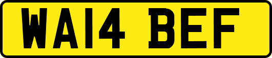 WA14BEF
