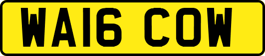 WA16COW