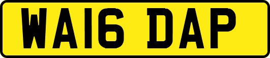 WA16DAP