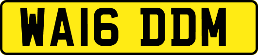 WA16DDM