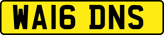 WA16DNS