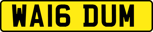 WA16DUM