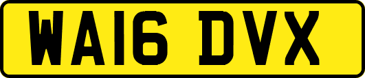 WA16DVX
