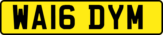 WA16DYM