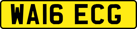 WA16ECG