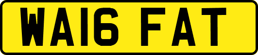 WA16FAT