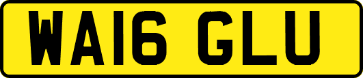 WA16GLU