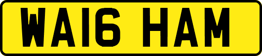 WA16HAM