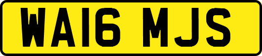 WA16MJS
