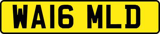 WA16MLD