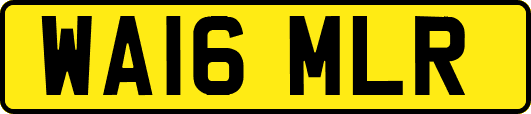 WA16MLR