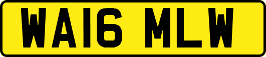 WA16MLW