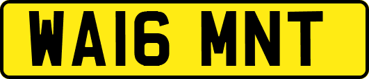 WA16MNT