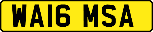 WA16MSA