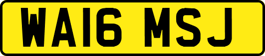 WA16MSJ