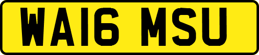 WA16MSU