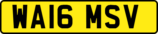 WA16MSV