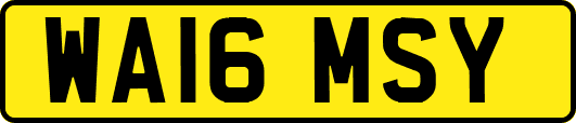 WA16MSY