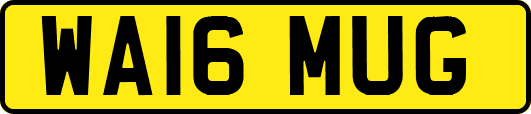 WA16MUG
