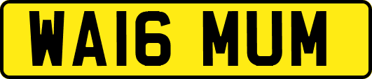 WA16MUM