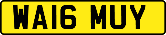 WA16MUY